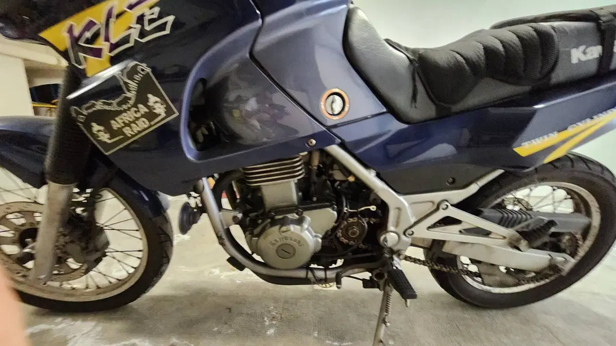 Kawasaki KLE 500 (2001 - 04) (13)