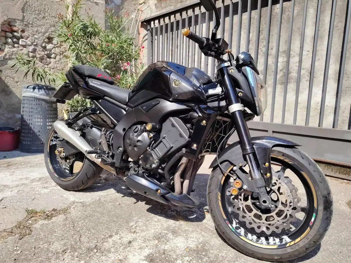 Yamaha FZ1 ABS (2006 - 16) (3)