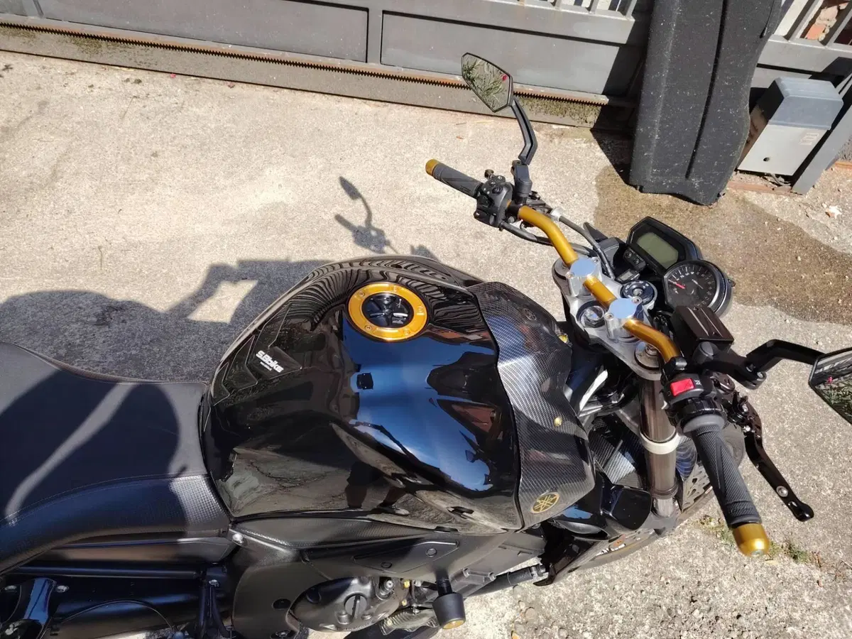 Yamaha FZ1 ABS (2006 - 16) (6)