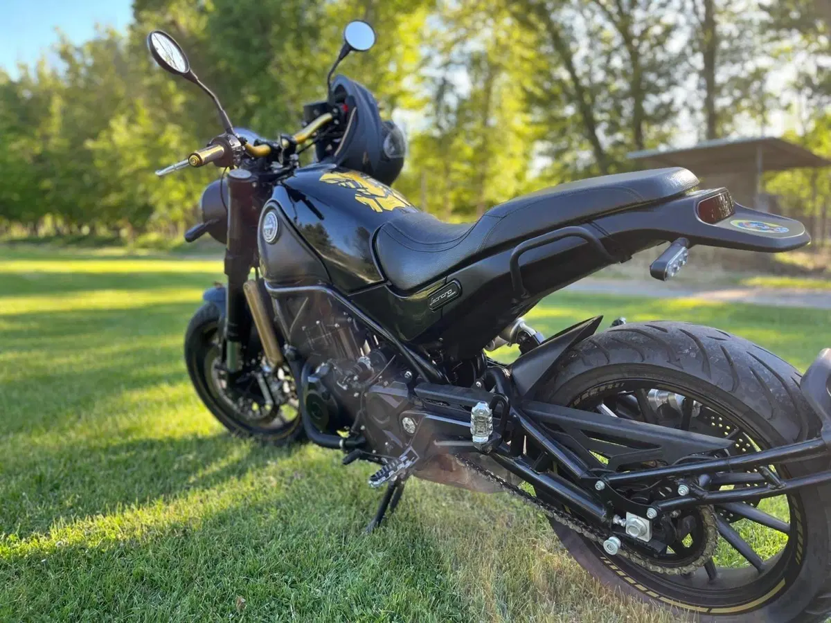 Benelli Leoncino 500 ABS (2017 - 20) (3)