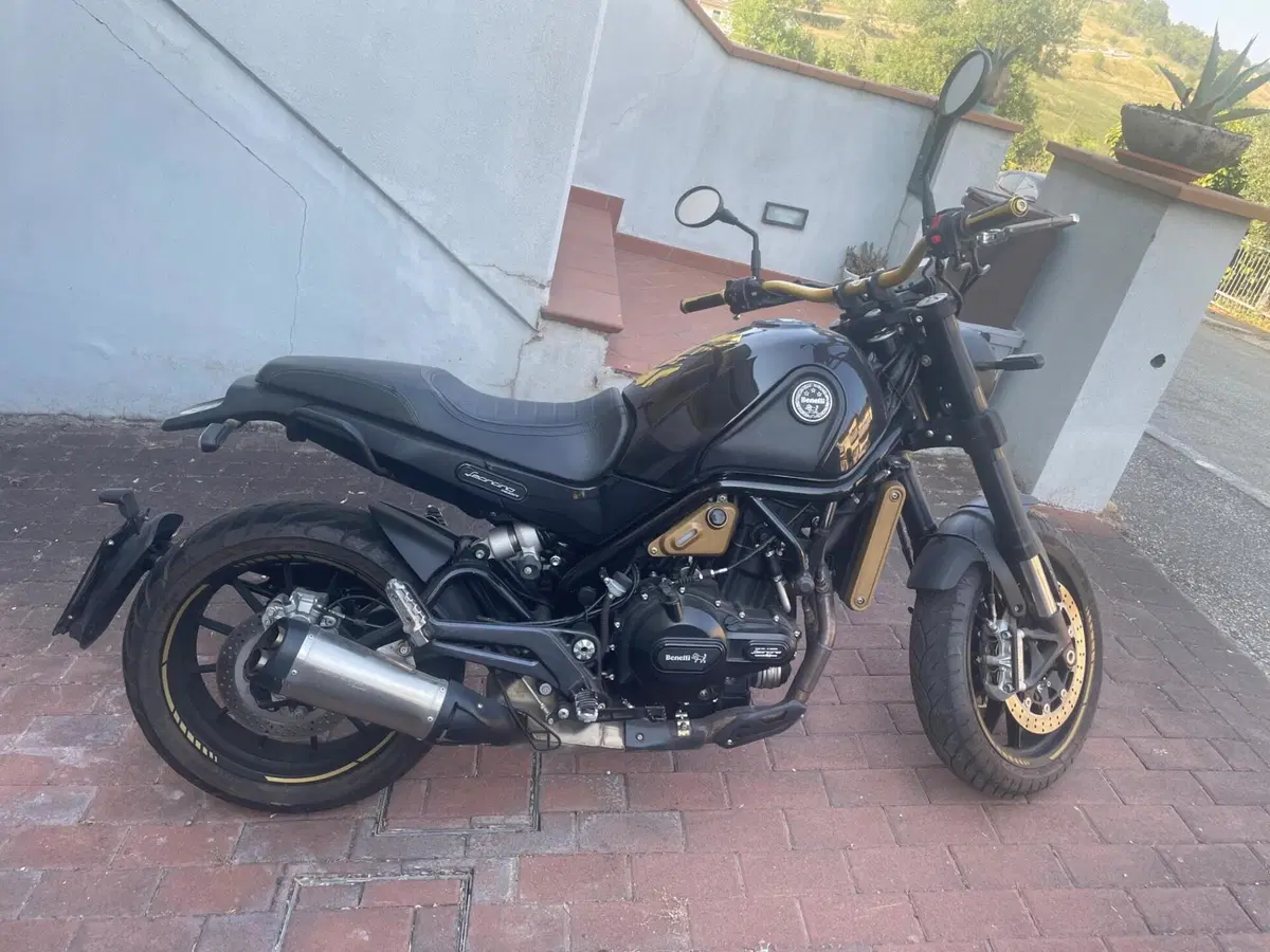 Benelli Leoncino 500 ABS (2017 - 20) (4)
