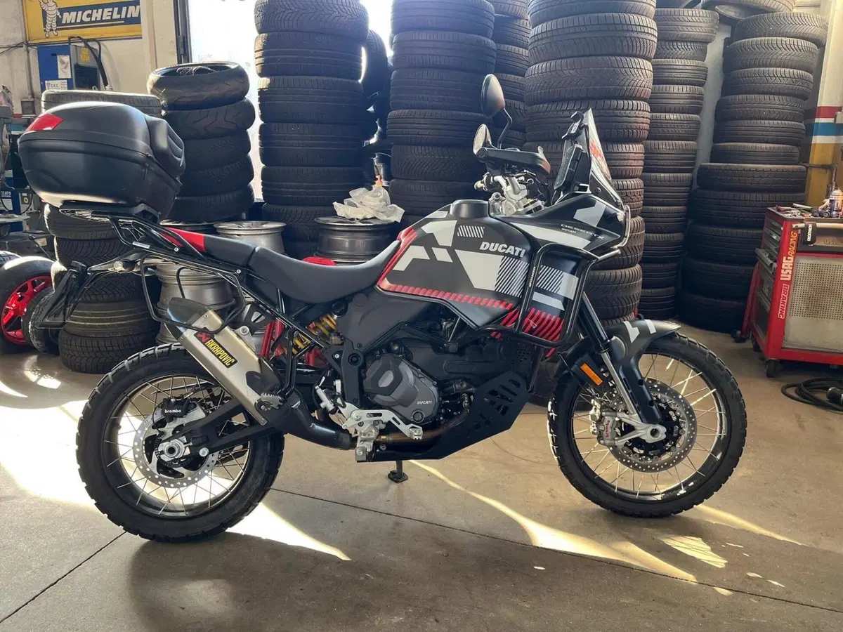 Ducati DesertX (2022 - 25) (5)