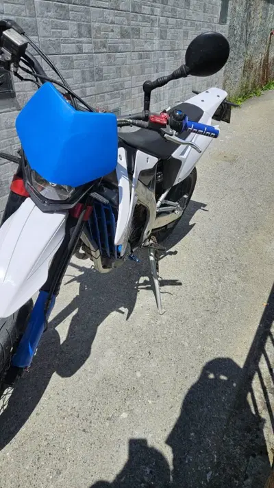 Tm Moto EN 450 F ES (2008 - 09) usata