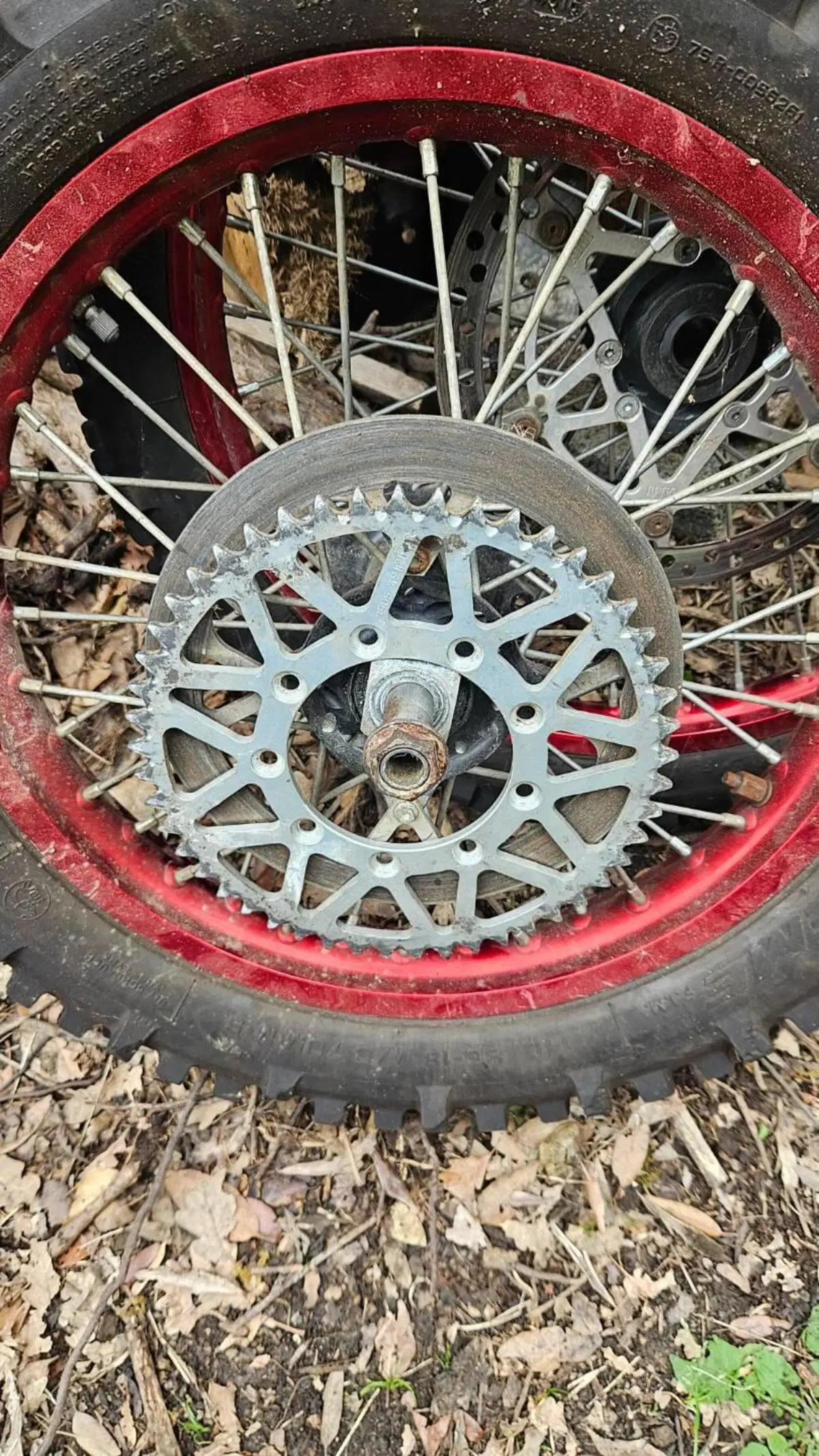 Tm Moto EN 450 F ES (2008 - 09) (4)