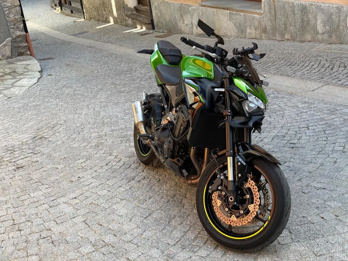 Kawasaki Z 900 (2021 - 24)