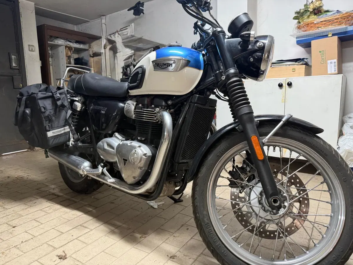 Triumph Bonneville T100 (2017 - 20) (4)