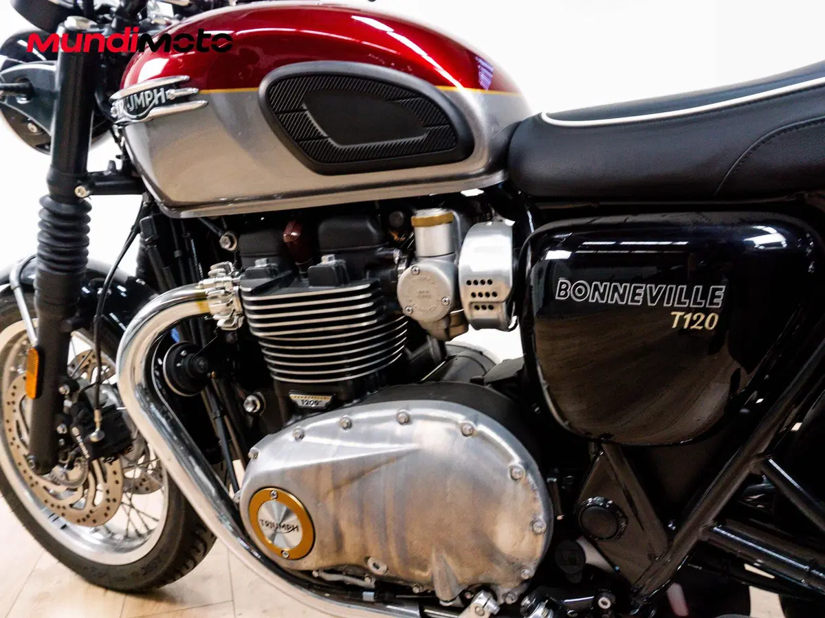 Triumph Bonneville T120 Gold Line Edition (2021) (10)