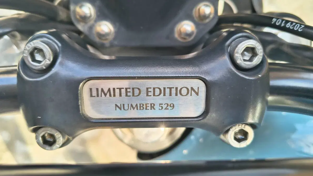 Triumph Bonneville T100 (2008 - 16) (2)