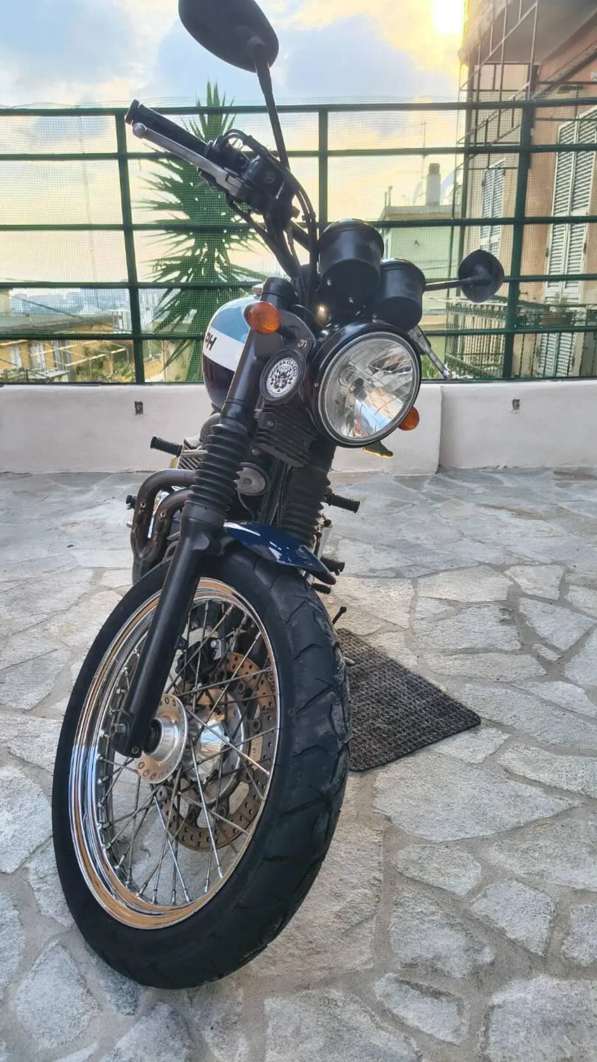 Triumph Bonneville T100 (2008 - 16) (12)