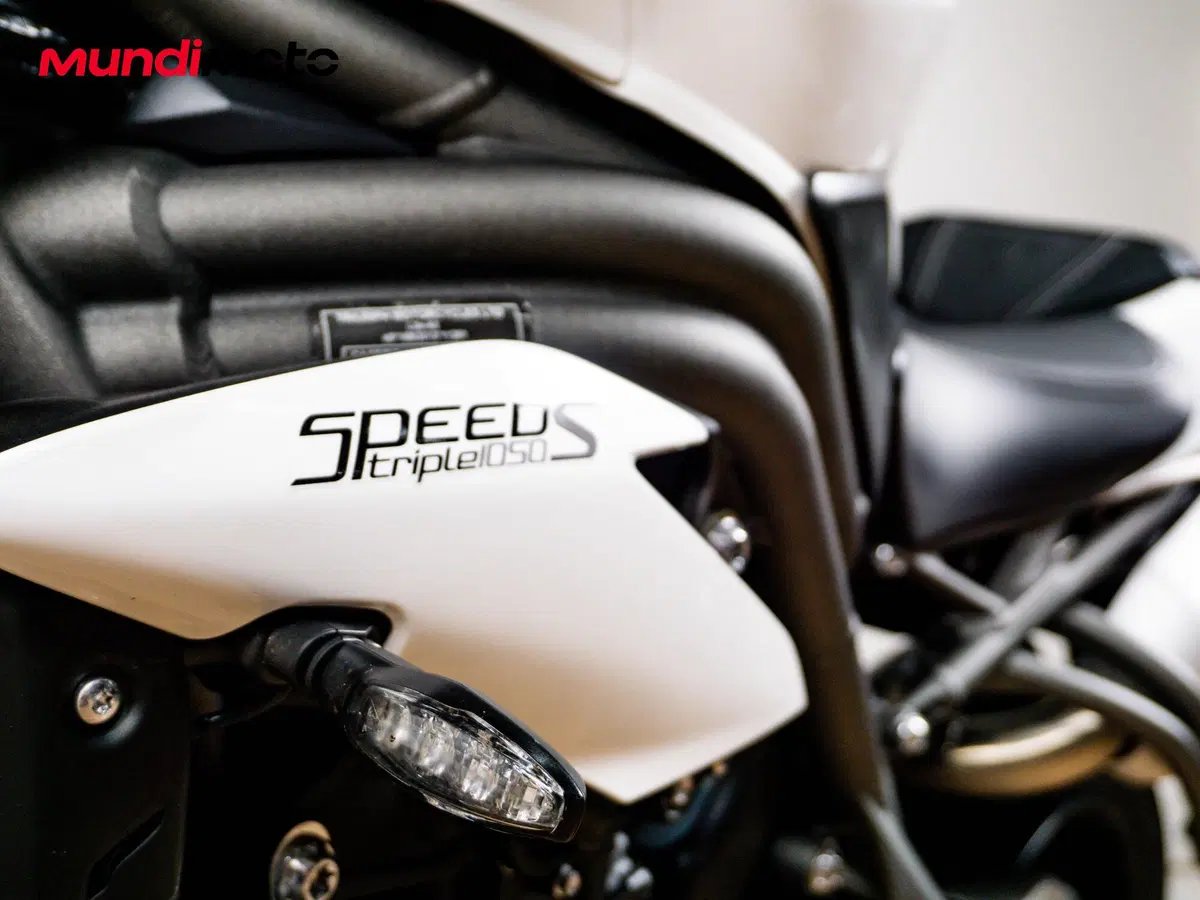 Triumph Speed Triple 1050 S ABS (2016 - 17) (18)