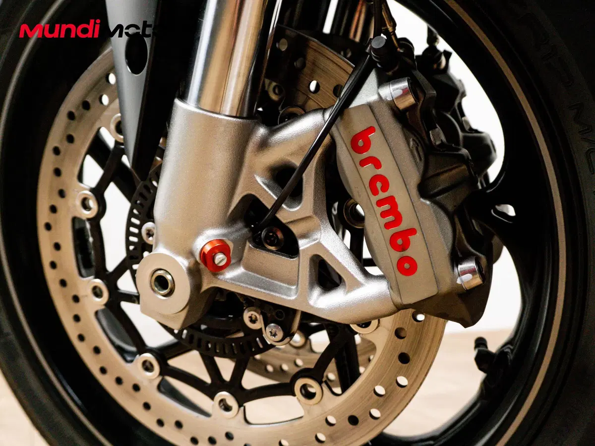 Triumph Speed Triple 1050 S ABS (2016 - 17) (19)