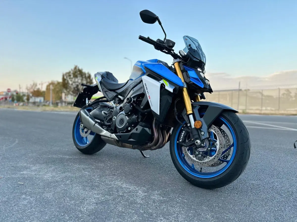 Suzuki GSX-S1000 (2021 - 25) (3)