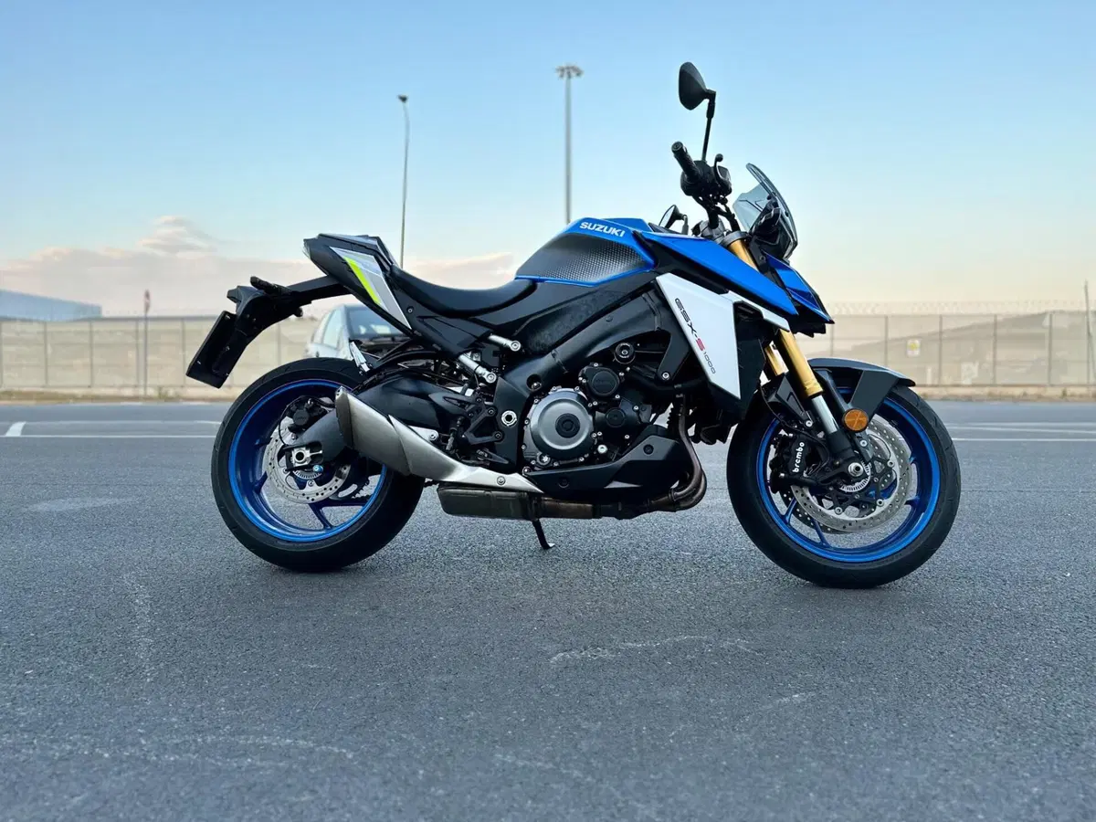 Suzuki GSX-S1000 (2021 - 25) (8)