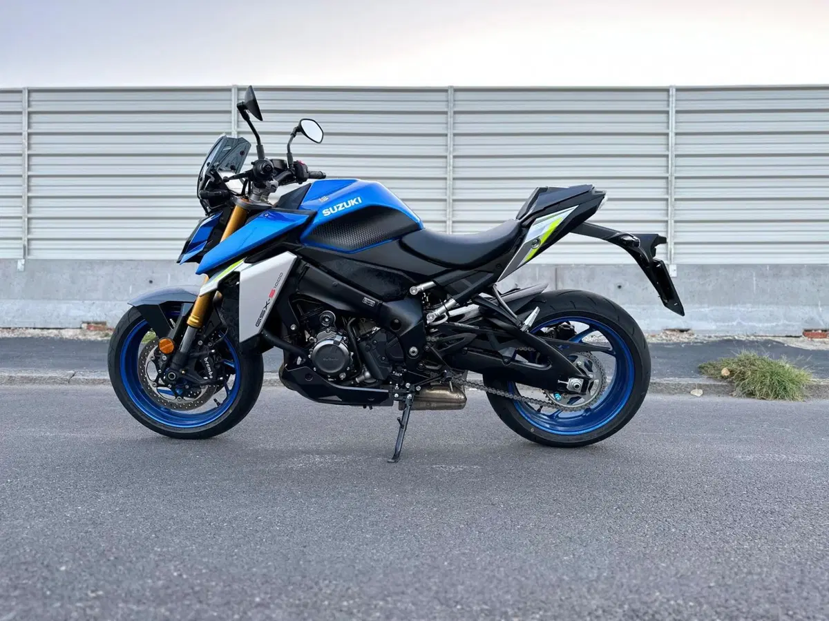Suzuki GSX-S1000 (2021 - 25) (10)