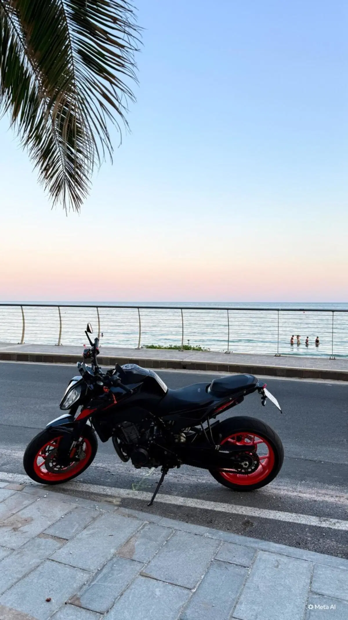 KTM 790 Duke (2018 - 20)