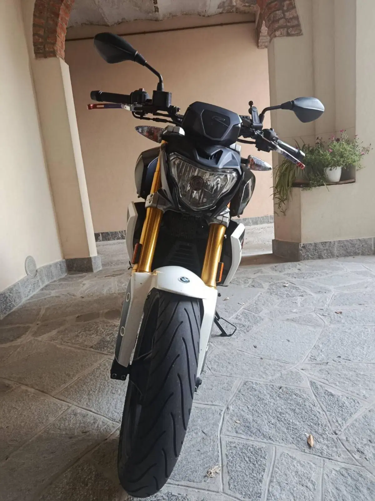 Bmw G 310 R (2016 - 20) (2)