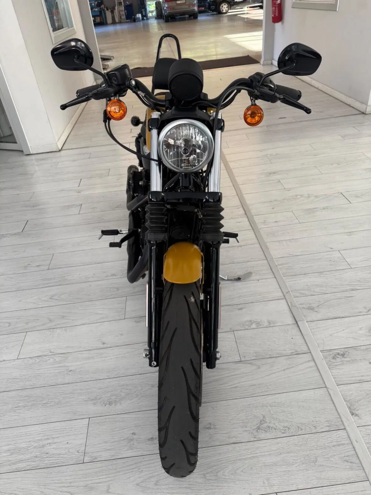 Harley-Davidson 883 Iron (2017 - 20) - XL 883N (4)