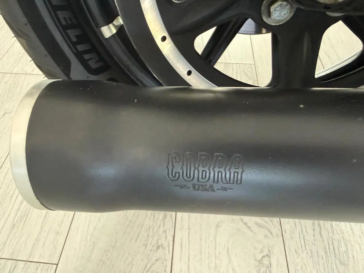 Harley-Davidson 883 Iron (2017 - 20) - XL 883N (14)