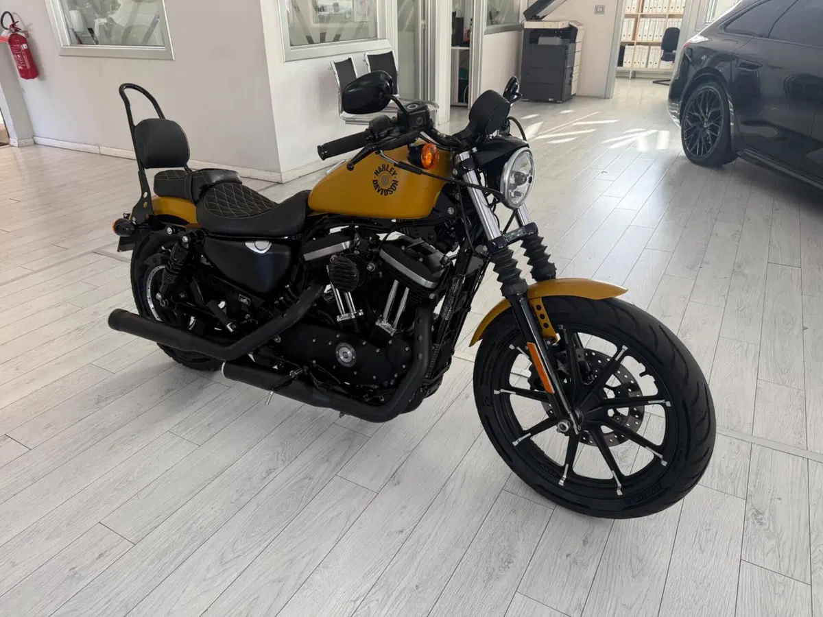 Harley-Davidson 883 Iron (2017 - 20) - XL 883N