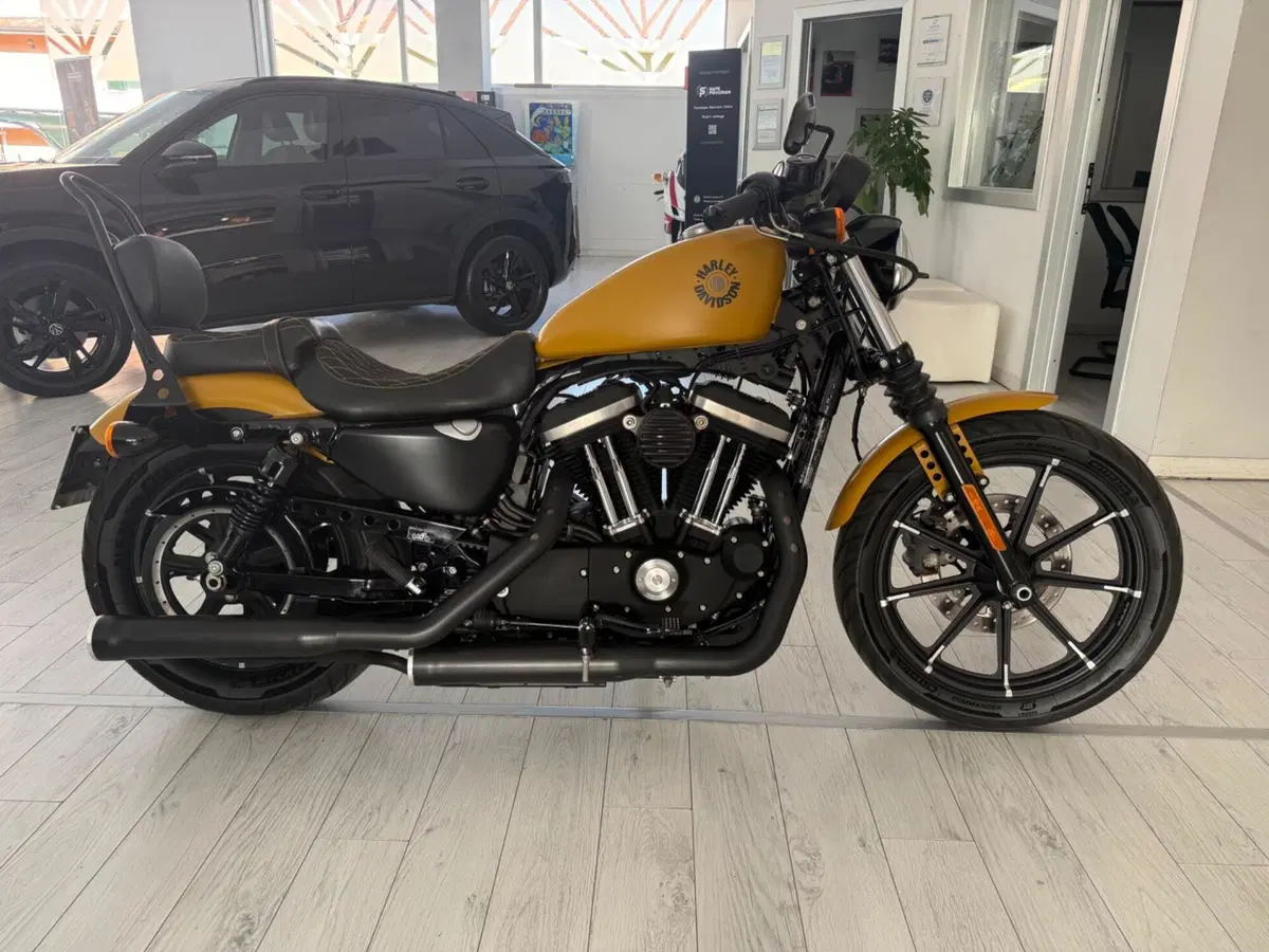 Harley-Davidson 883 Iron (2017 - 20) - XL 883N (2)