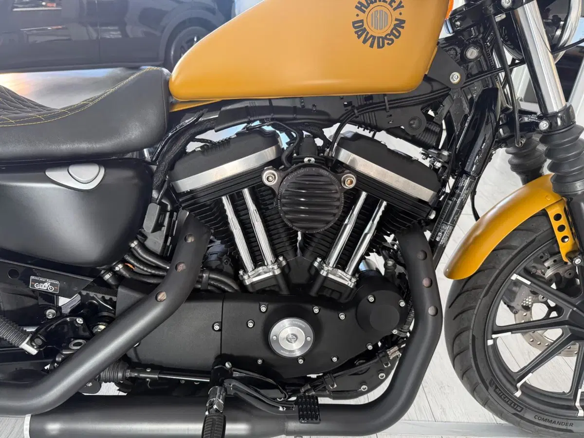 Harley-Davidson 883 Iron (2017 - 20) - XL 883N (6)