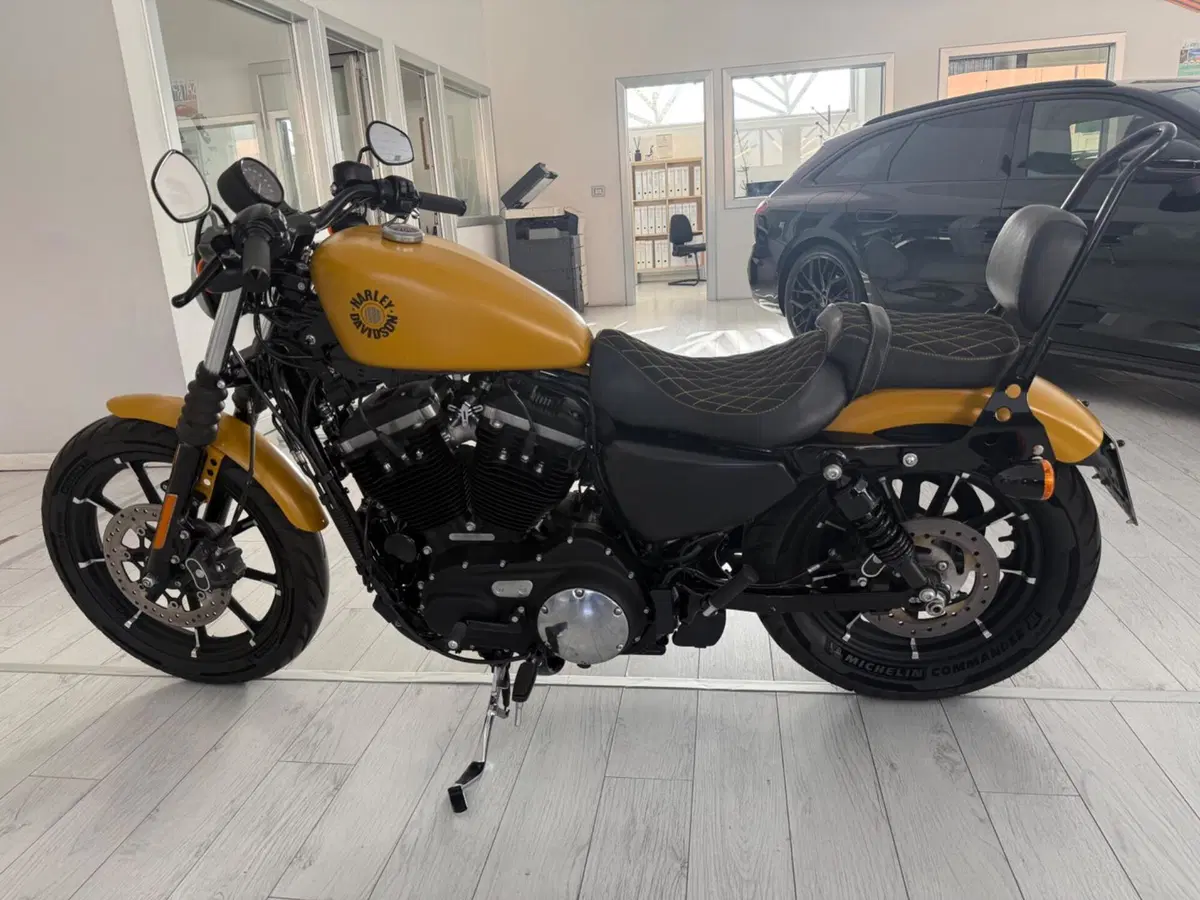 Harley-Davidson 883 Iron (2017 - 20) - XL 883N (3)