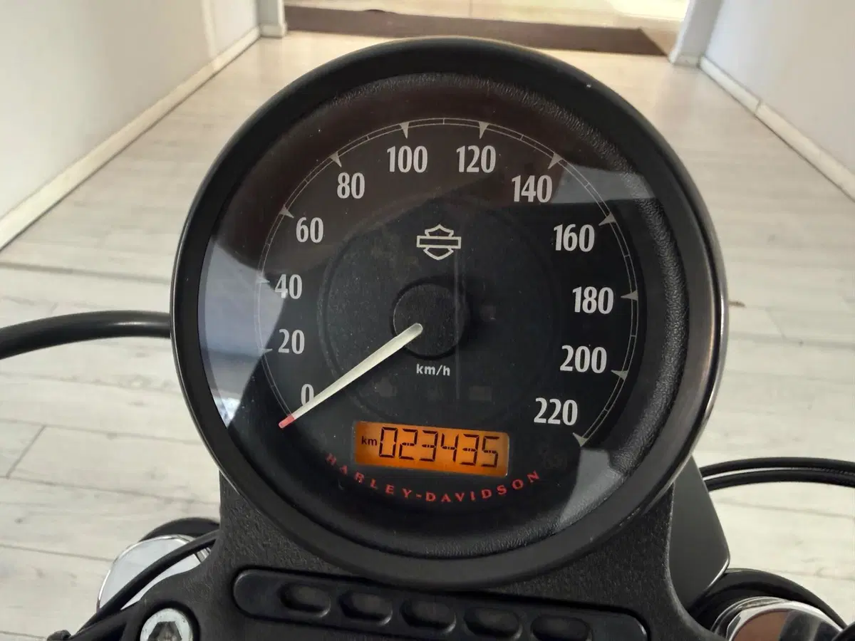 Harley-Davidson 883 Iron (2017 - 20) - XL 883N (9)