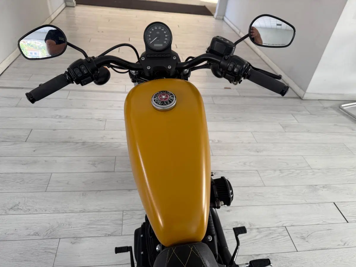 Harley-Davidson 883 Iron (2017 - 20) - XL 883N (8)