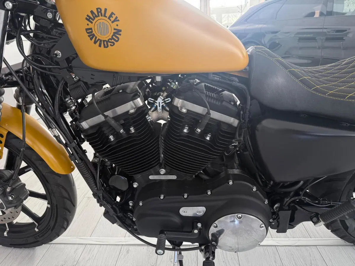 Harley-Davidson 883 Iron (2017 - 20) - XL 883N (7)