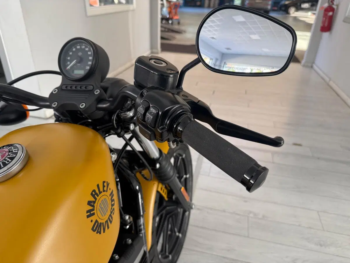 Harley-Davidson 883 Iron (2017 - 20) - XL 883N (11)