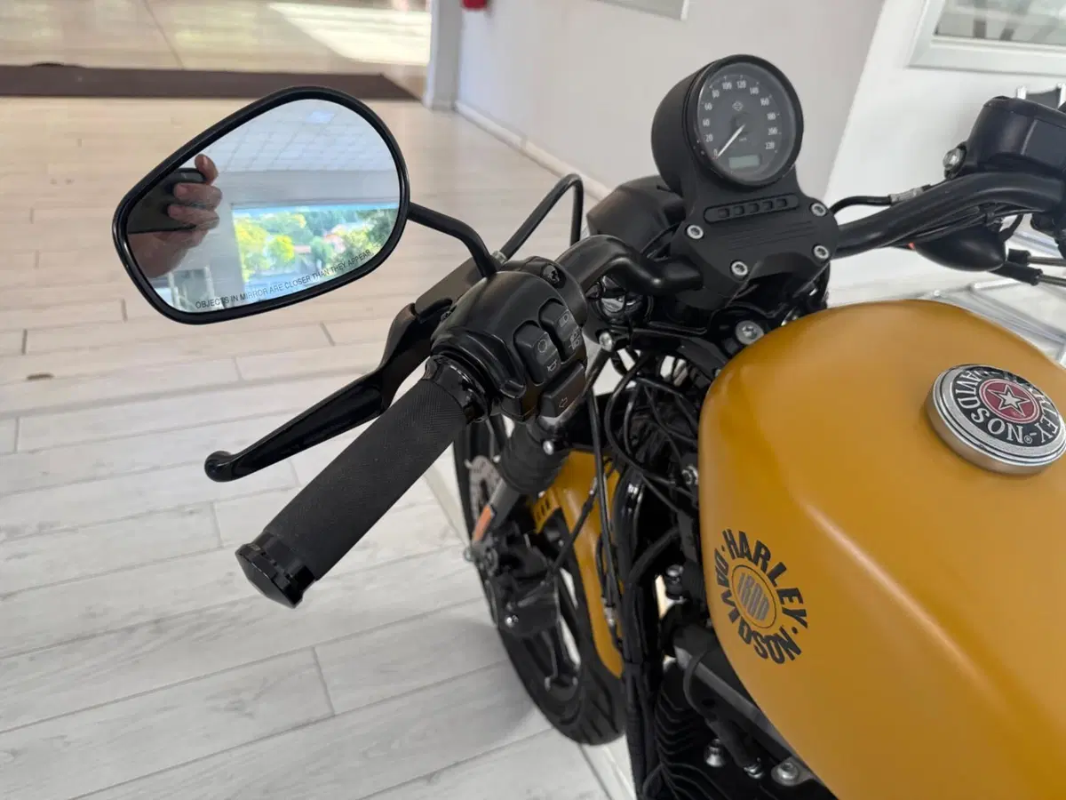 Harley-Davidson 883 Iron (2017 - 20) - XL 883N (10)