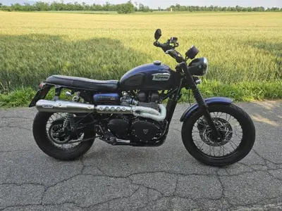 Triumph Scrambler (2006 - 17) usata