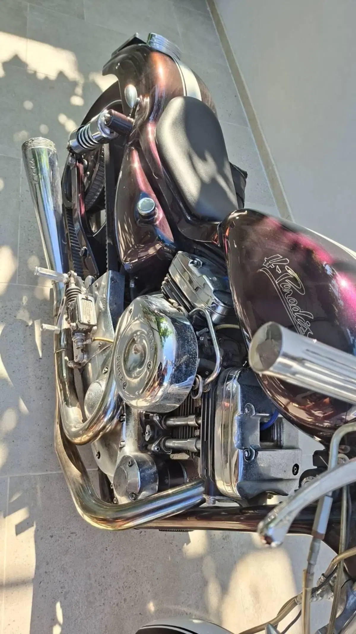 Harley-Davidson 883 Custom Bobber (2)