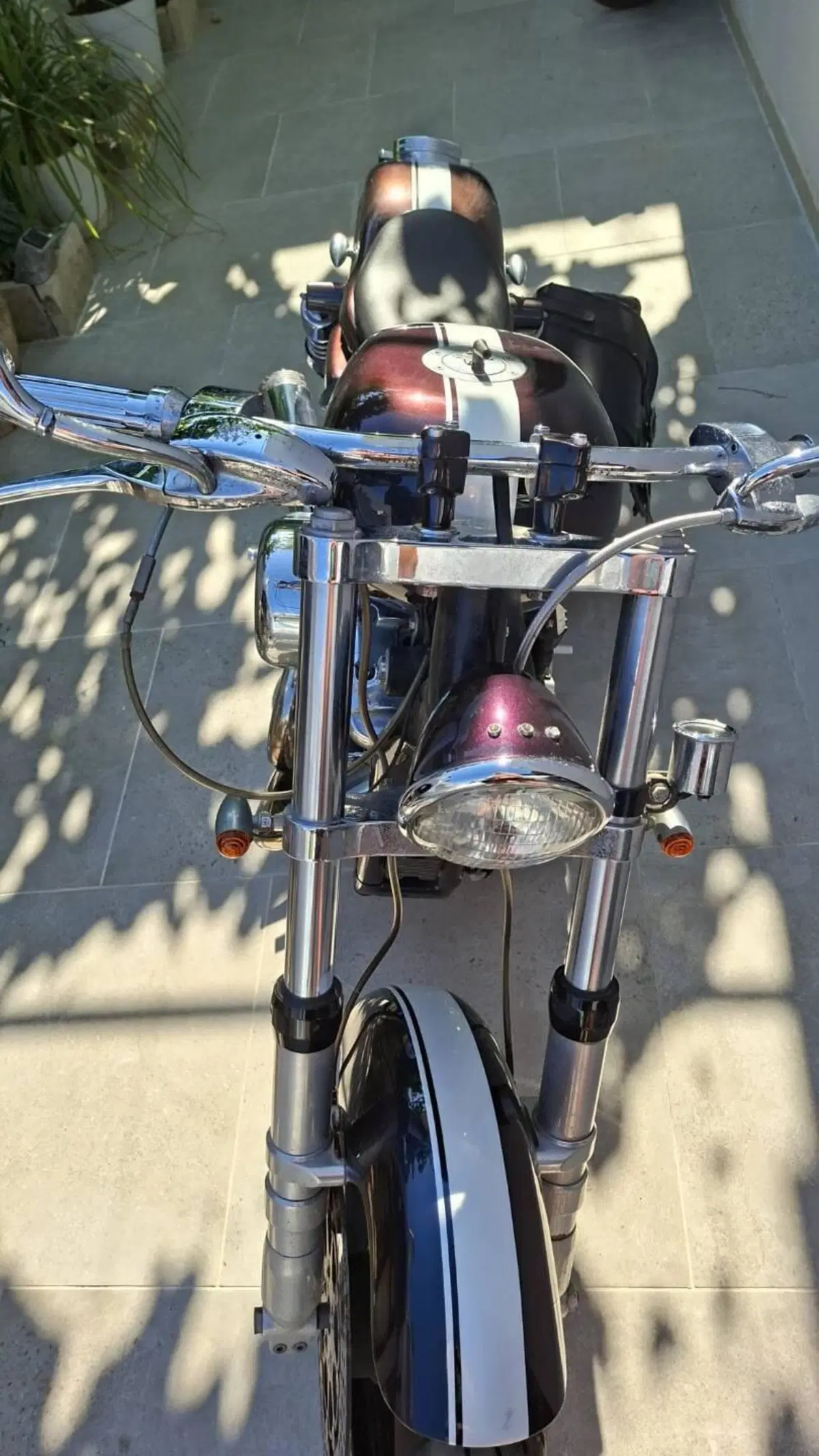 Harley-Davidson 883 Custom Bobber (4)