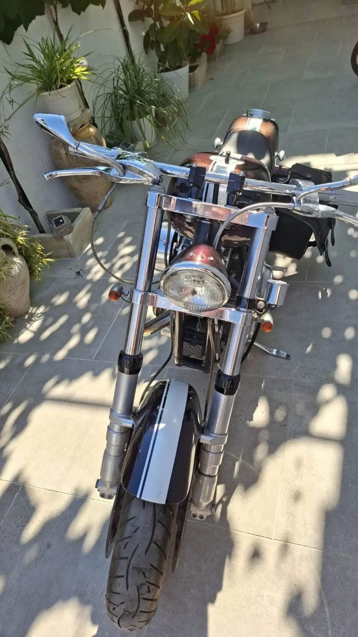 Harley-Davidson 883 Custom Bobber (5)