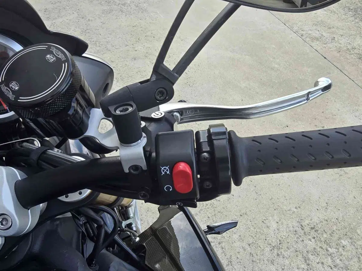 Triumph Speed Triple 1050 R ABS (2011 - 15) (17)