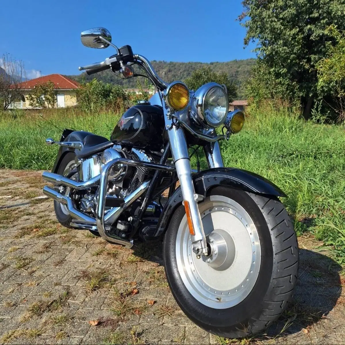 Harley-Davidson 1450 Fat Boy (2003 - 06) - FLSTFI (3)