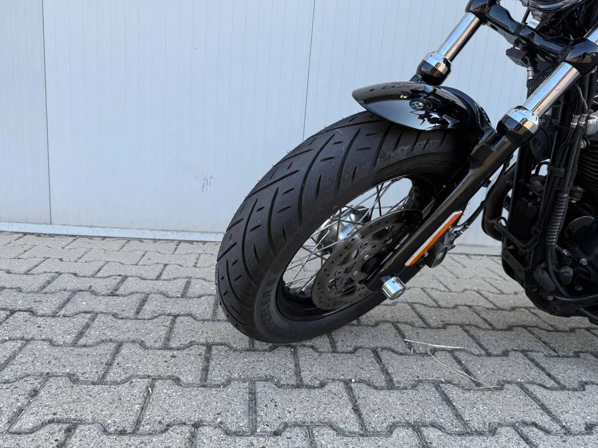 Harley-Davidson 1200 Forty-Eight (2010 - 15) (10)