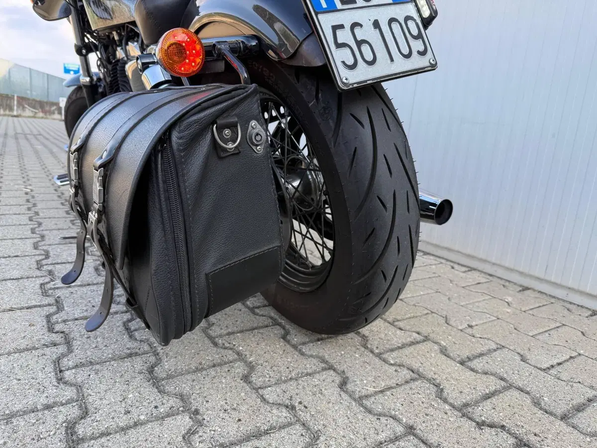 Harley-Davidson 1200 Forty-Eight (2010 - 15) (11)