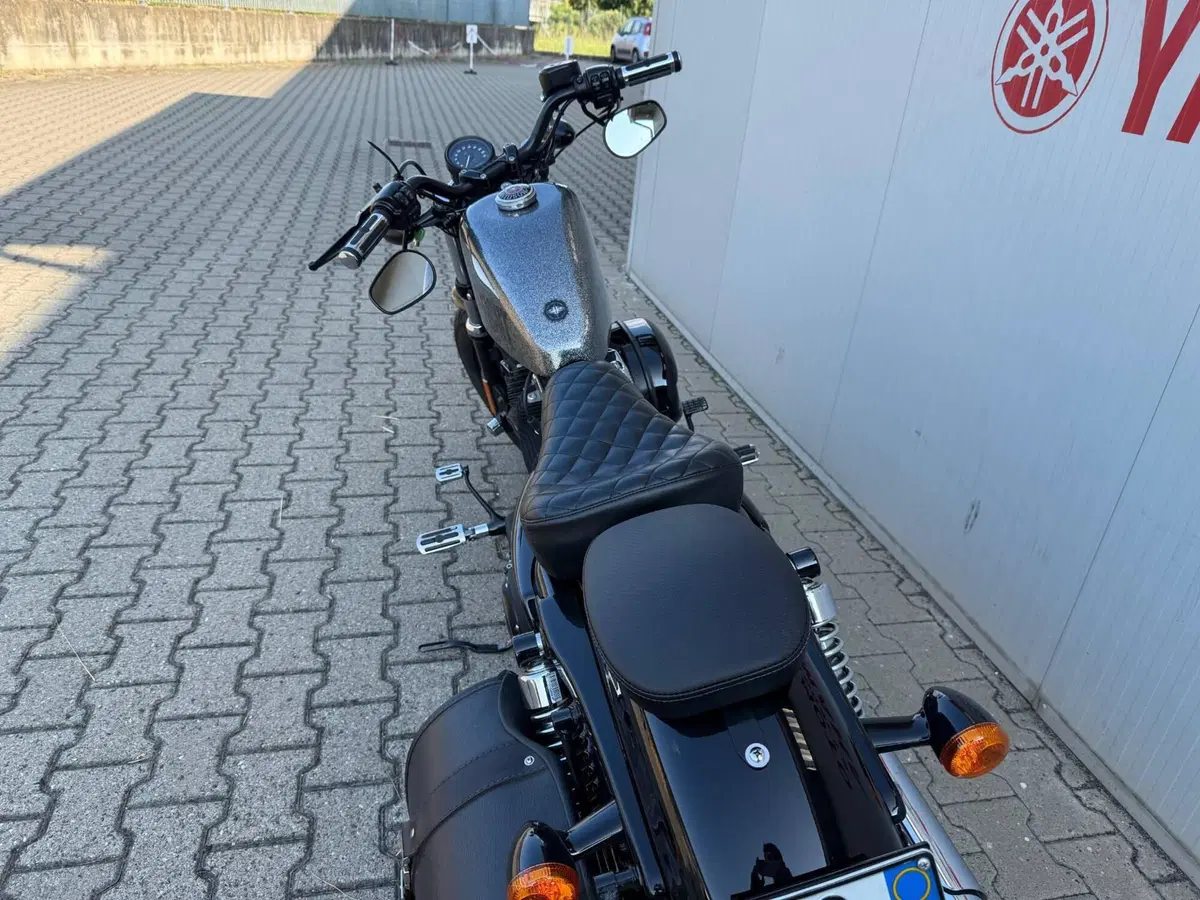 Harley-Davidson 1200 Forty-Eight (2010 - 15) (7)