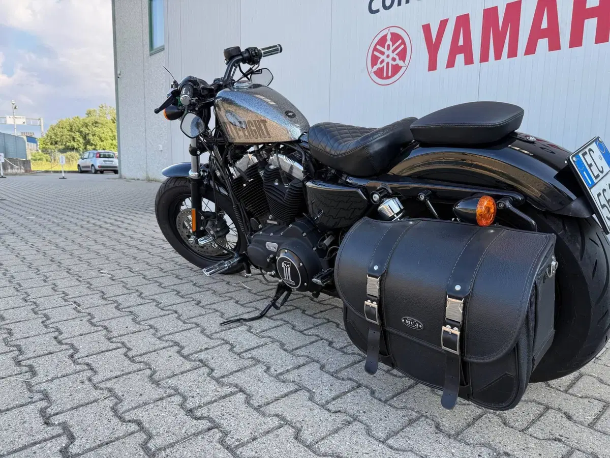 Harley-Davidson 1200 Forty-Eight (2010 - 15) (8)