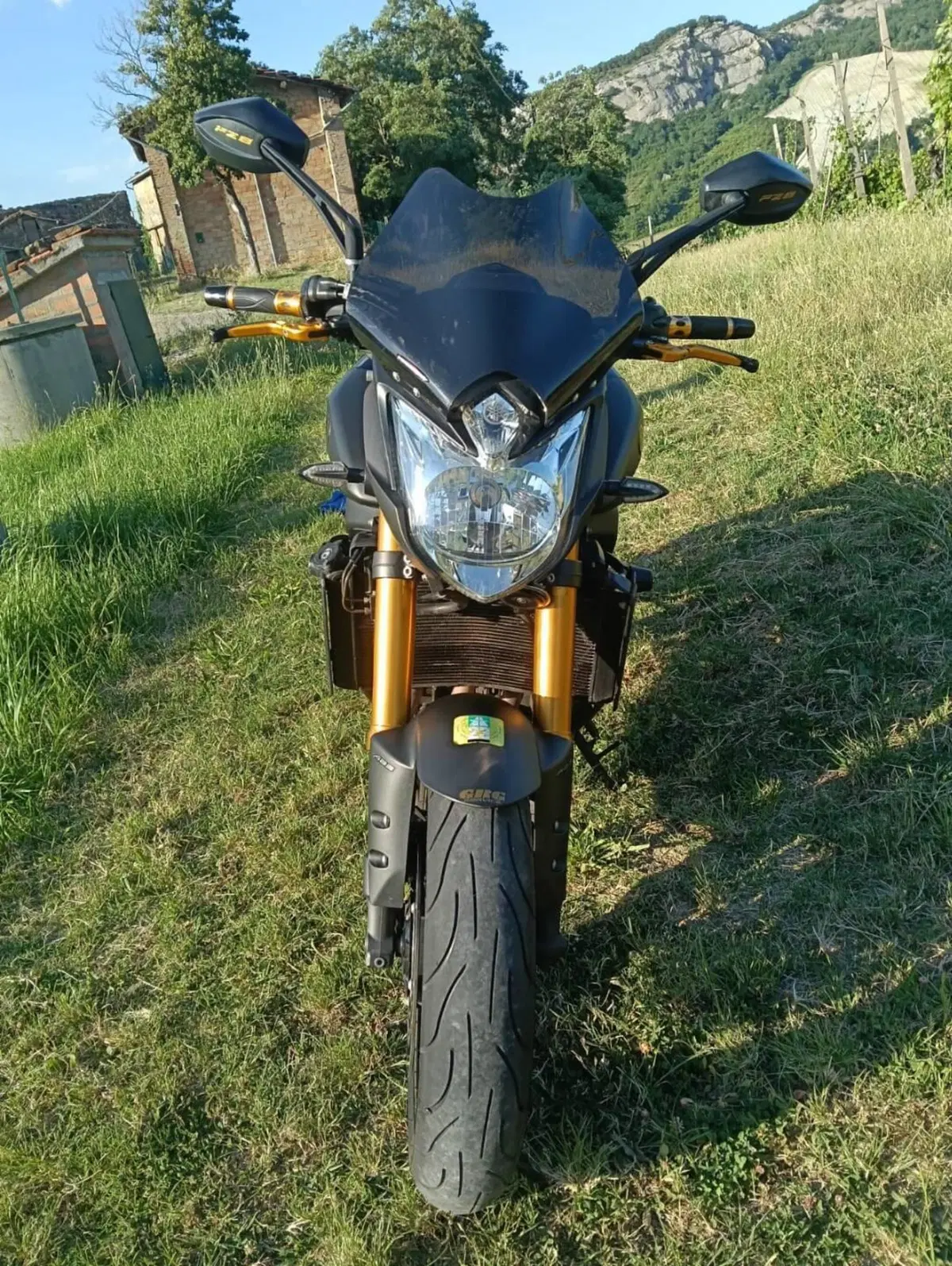 Yamaha FZ8 (2010 - 12) (4)