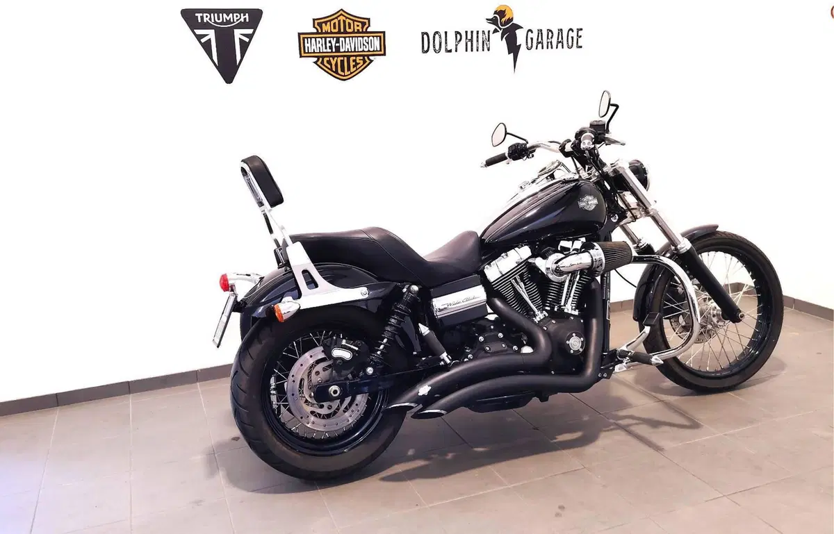 Harley-Davidson 1584 Wide Glide (2007 - 11) - FXDWG (3)