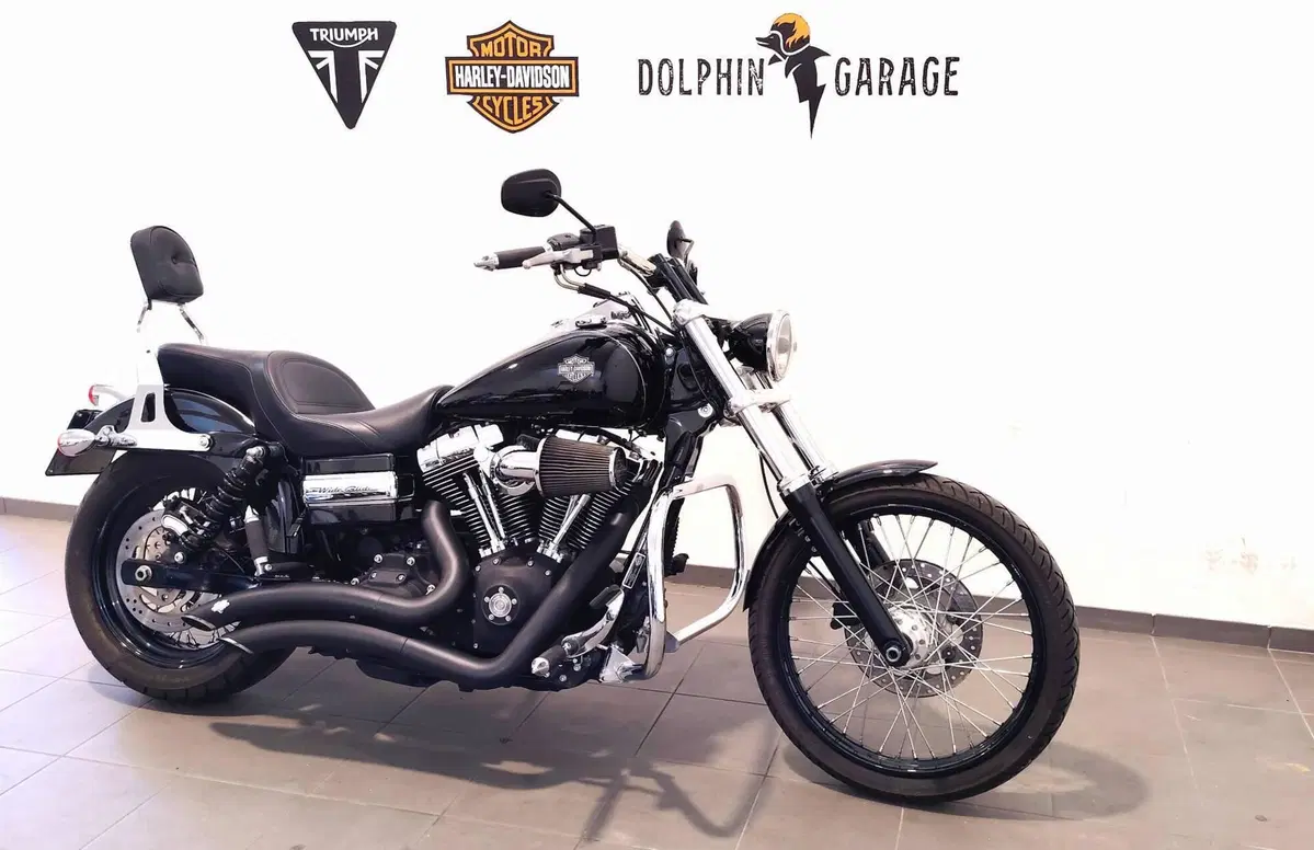 Harley-Davidson 1584 Wide Glide (2007 - 11) - FXDWG (4)