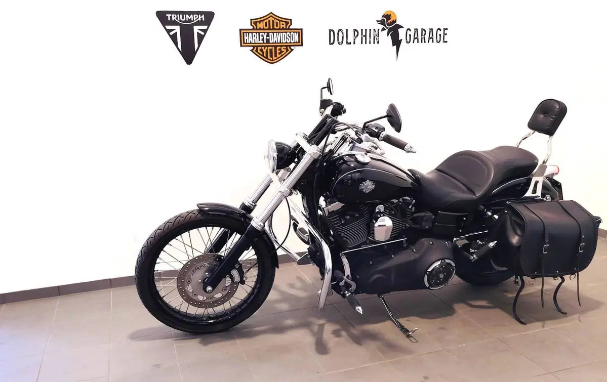 Harley-Davidson 1584 Wide Glide (2007 - 11) - FXDWG (9)