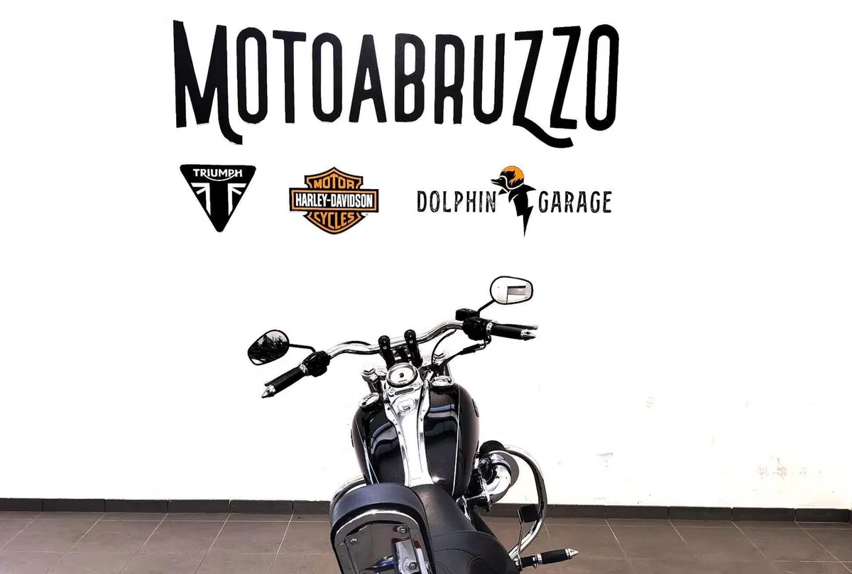 Harley-Davidson 1584 Wide Glide (2007 - 11) - FXDWG (12)