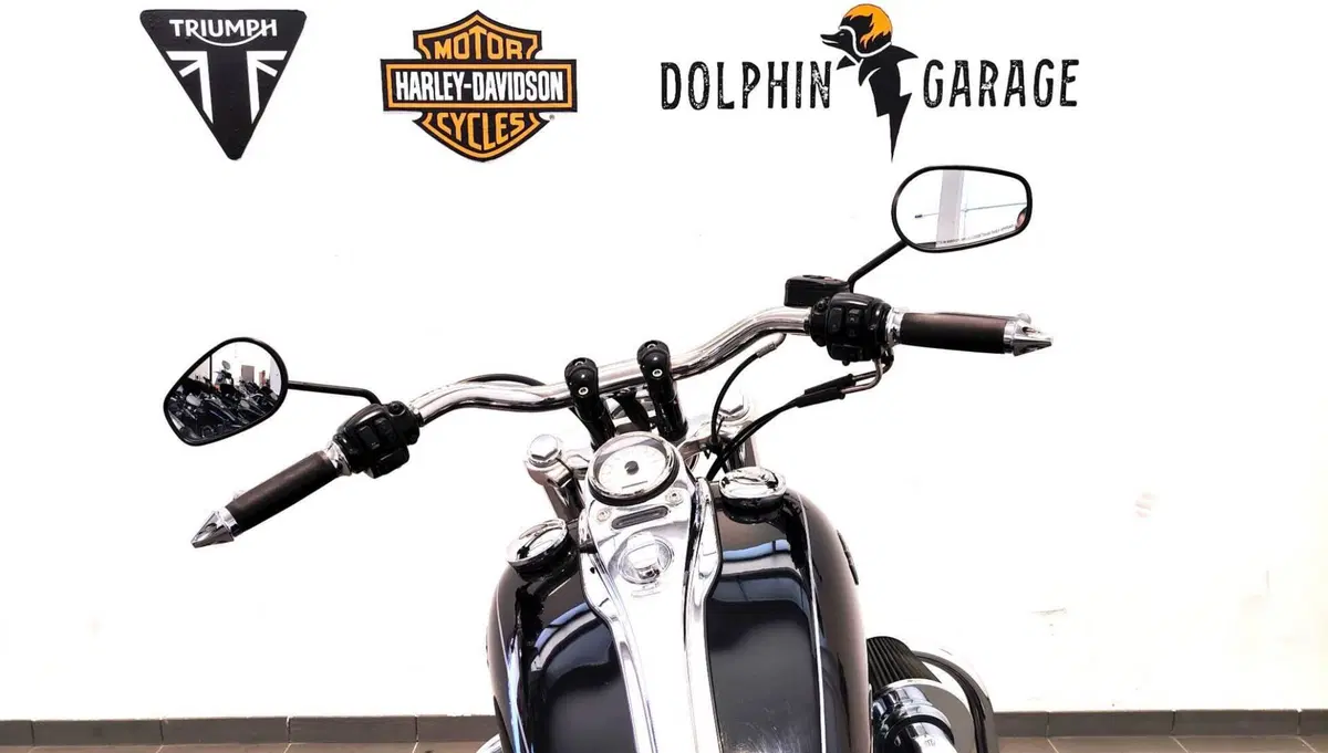 Harley-Davidson 1584 Wide Glide (2007 - 11) - FXDWG (13)