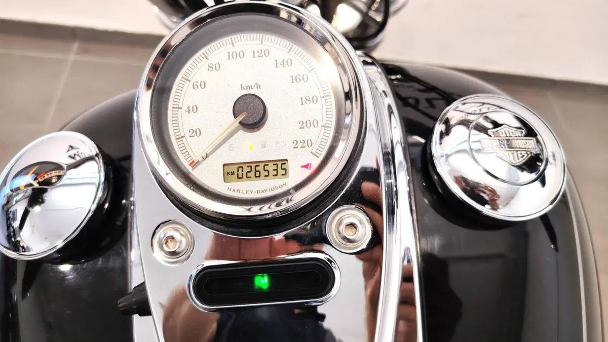 Harley-Davidson 1584 Wide Glide (2007 - 11) - FXDWG (14)