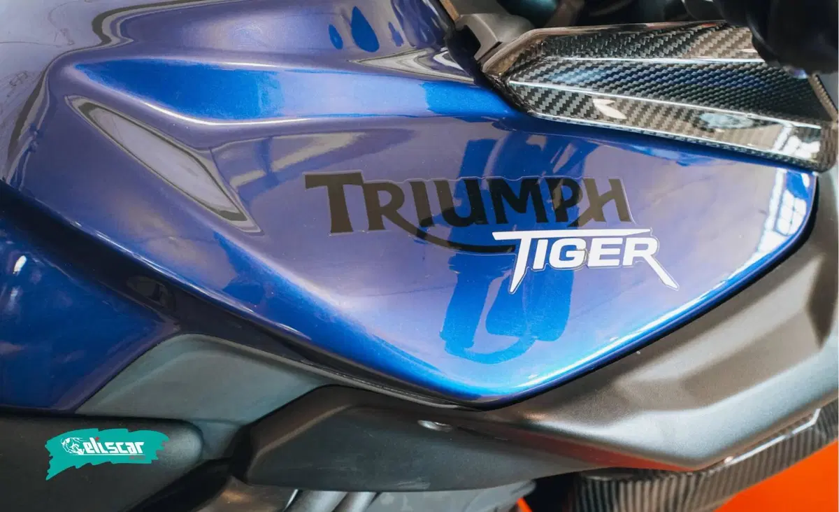 Triumph Tiger 800 (2010 - 14) (13)