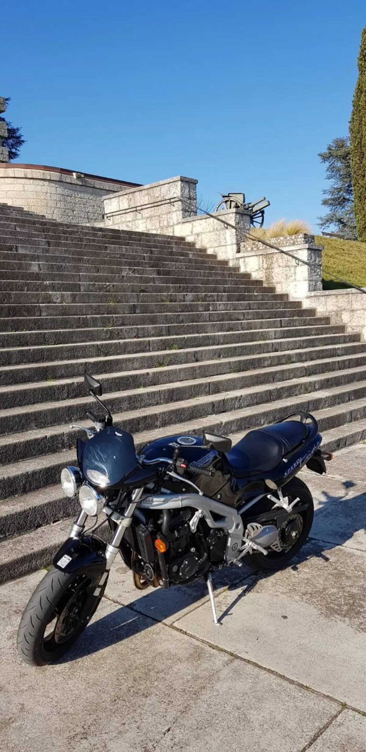 Triumph Speed Triple T509 / 955i (4)